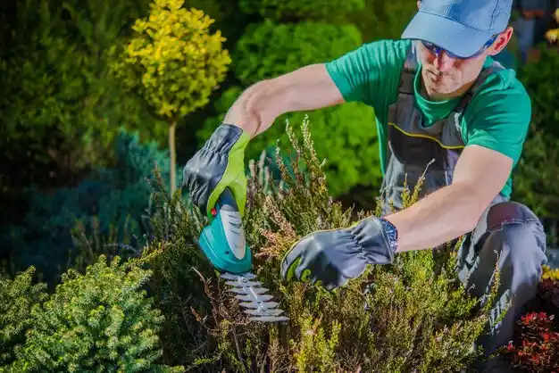 landscaping services Coalton
